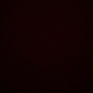 Meet your Posher, Bee